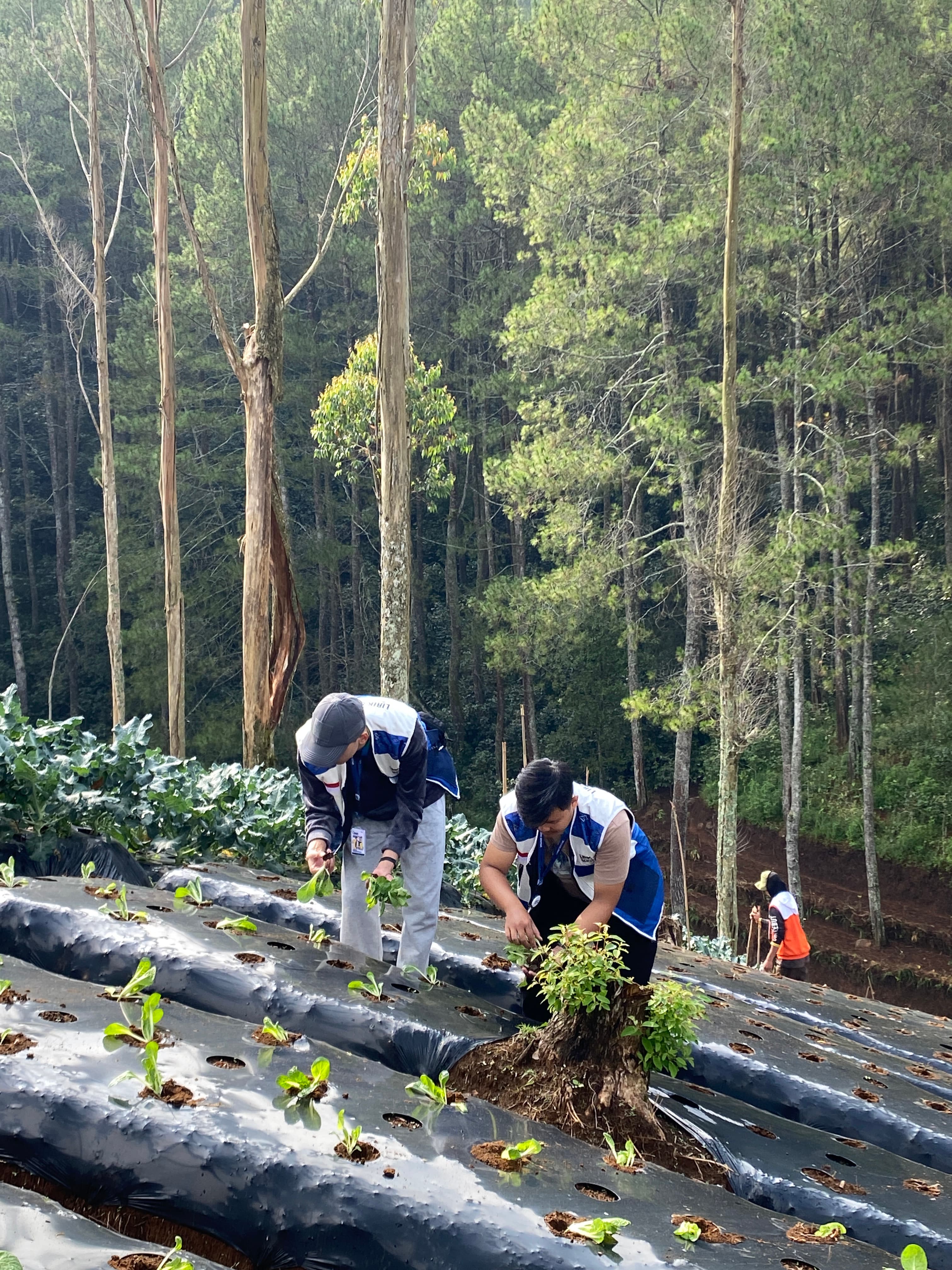 Dokumentasi Bakti Desa 2025 — Menanam Bersama